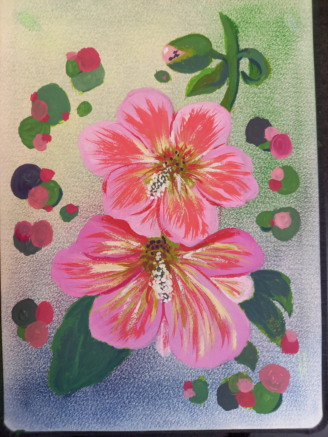 Hibiskus
