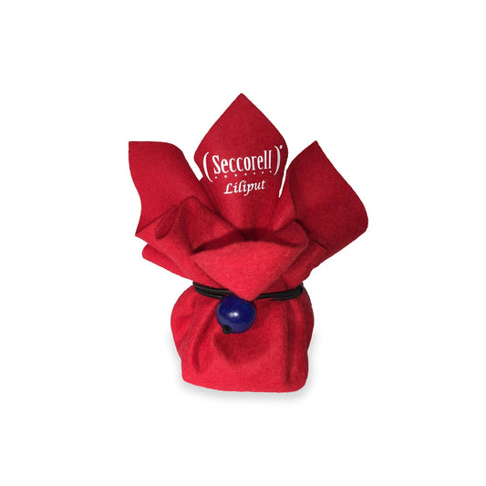 Seccorell Liliput - Kaminfeuer